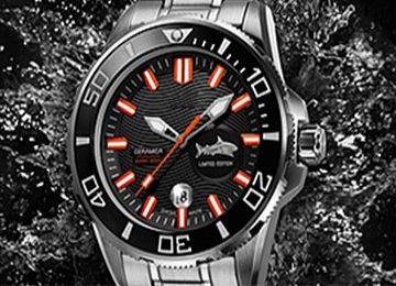 百达翡丽表表带